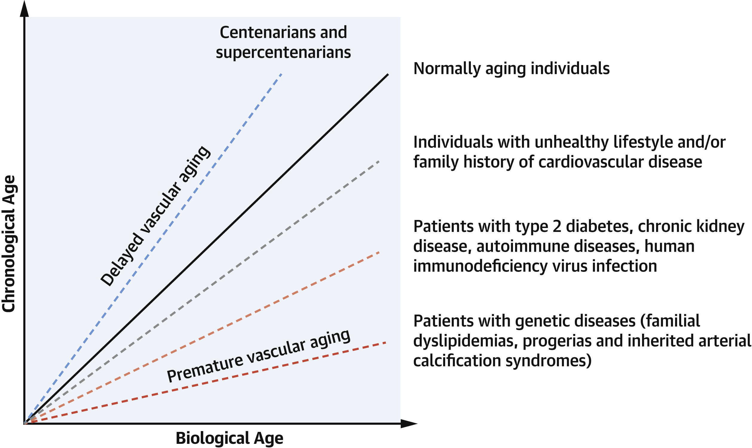 Chronological vs. Biological age